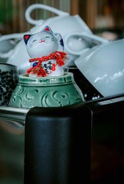 giấy phép Debet